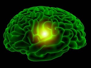 100210124757-large-300x225 Как улучшить работу своего мозга?