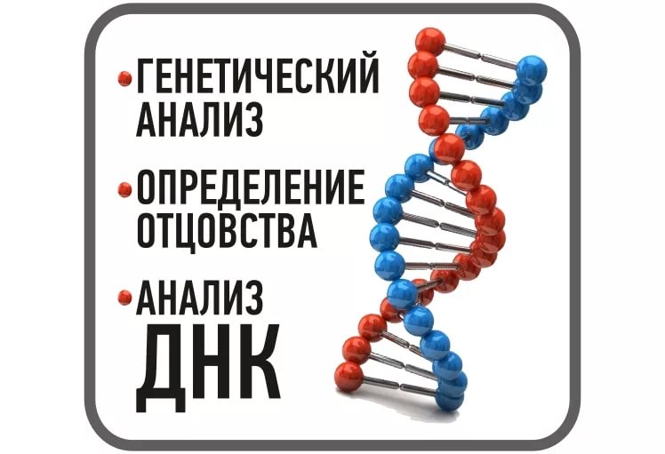 Тест на установление отцовства. Анализ ДНК. Генетическая экспертиза. ДНК экспертиза. Тест ДНК на отцовство.